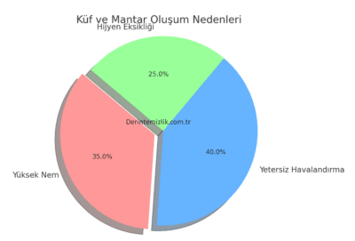 Küf ve Mantar Oluşumu, İlk Müdahale ve Buharlı Temizlik Çözümü 2025 Kuf ve Mantar Olusum Nedenleri
