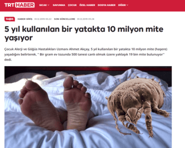 Buharlı Yatak Yıkama ile Mayt ve Bakterilerden Kurtulun 2025 mite